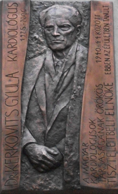Emlktbla rzi Dr. Kerkovits Gyula kardiolgus emlkt Szkesfehrvron