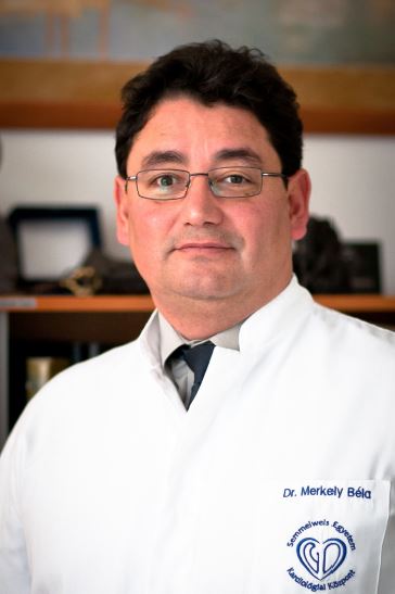 Prof. Dr. Merkely Béla